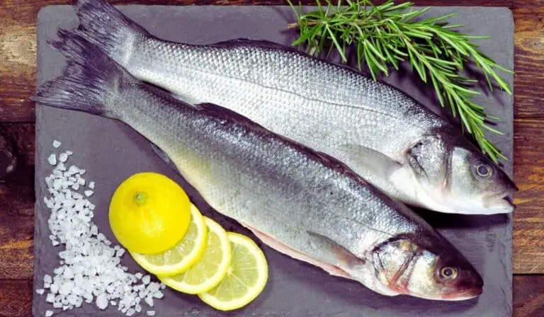 Branzino fish