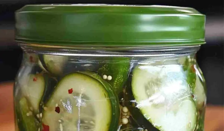 "Jar of homemade refrigerator pickles with cucumbers, dill, and garlic on a kitchen counter"